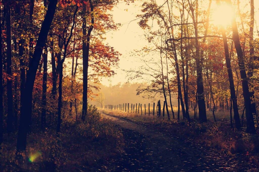 Camino de Santiago in October