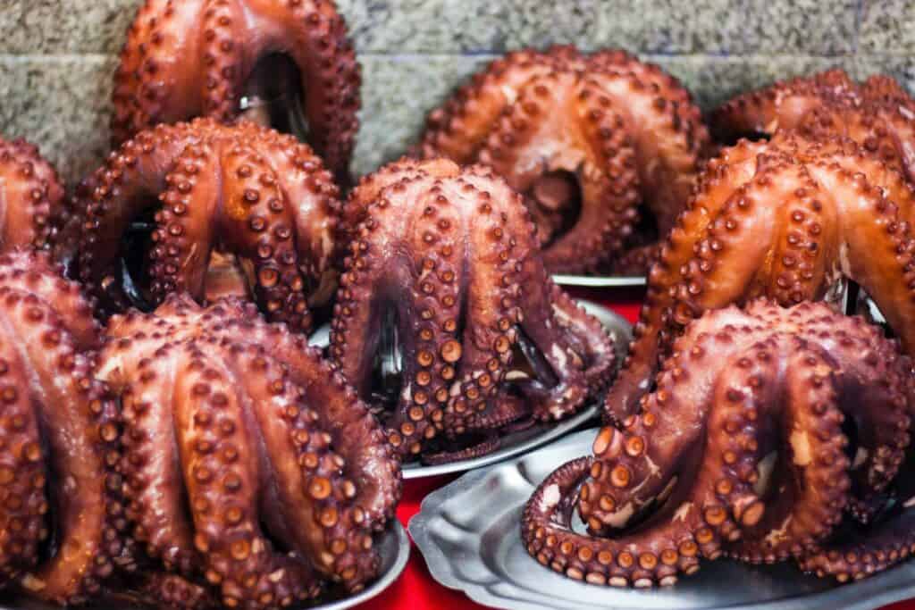 Pulpo local galician food on the Camino