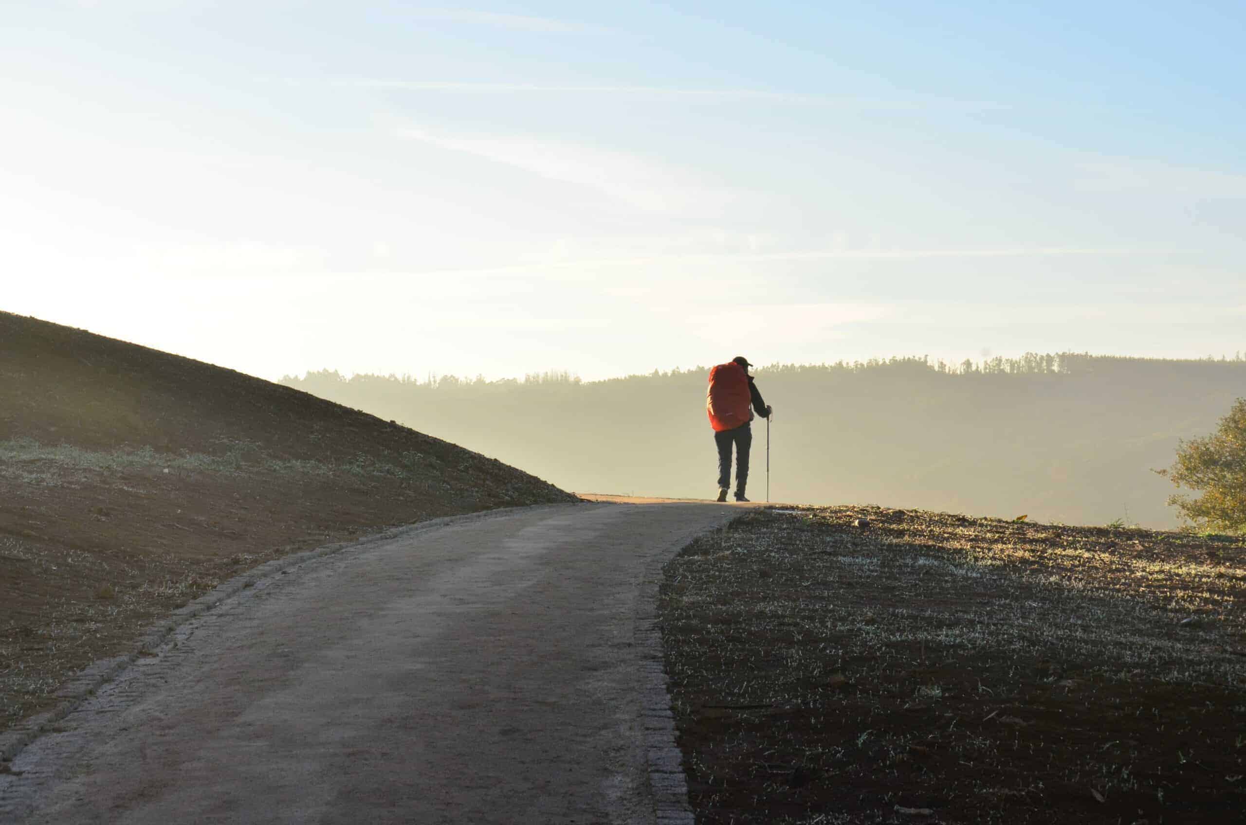 Black Friday Follow the Camino