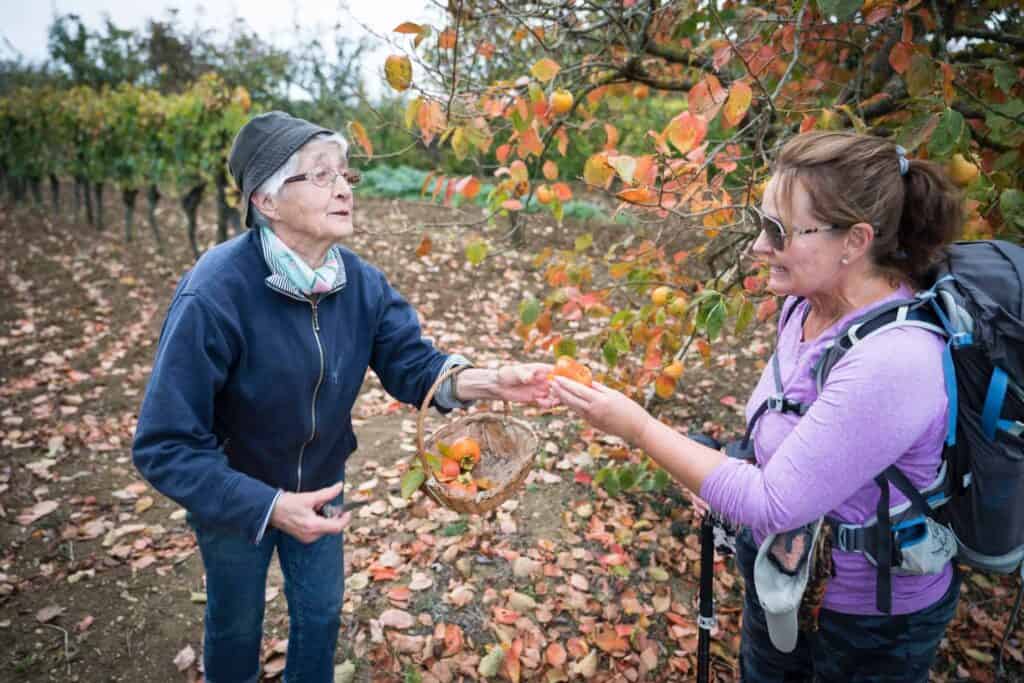 Camino helper guided tour