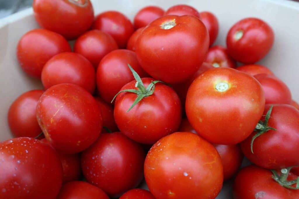 Recipes of the Camino Gazpacho