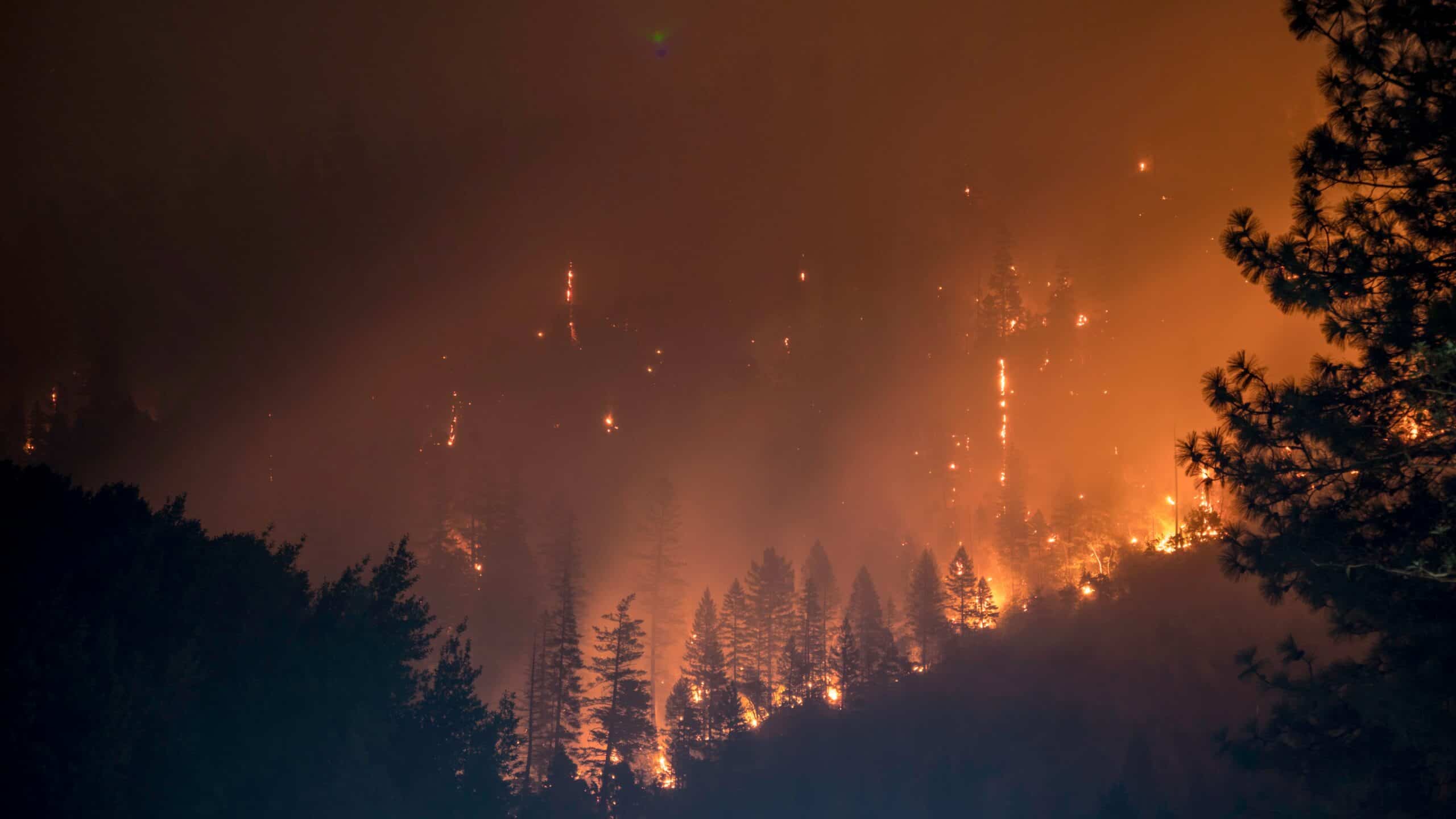 Safe Camino wildfire