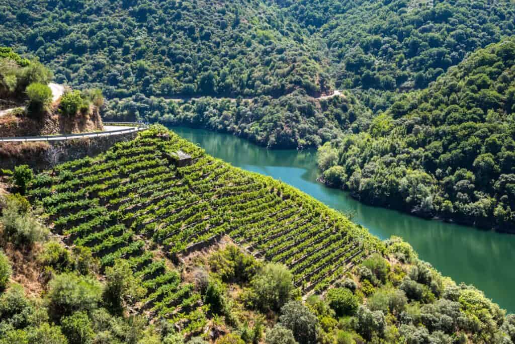 Camino Ribeira Sacra, Lugo