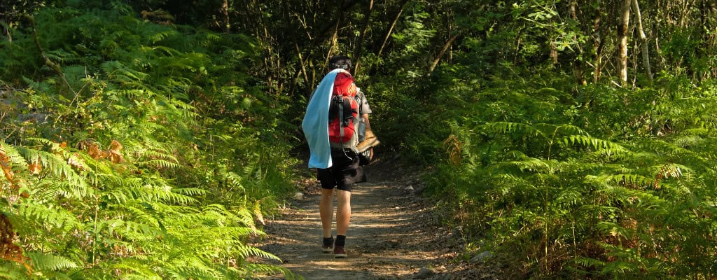 Pilgrim walking with backpack through camino portugues forest