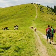 2 pilgrims walking on camino primitivo