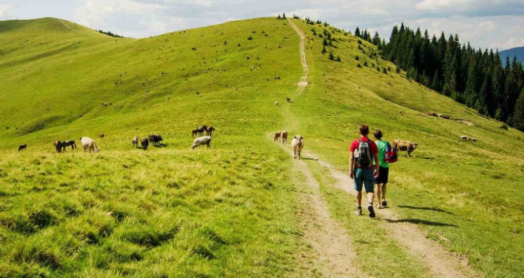 2 pilgrims walking on camino primitivo