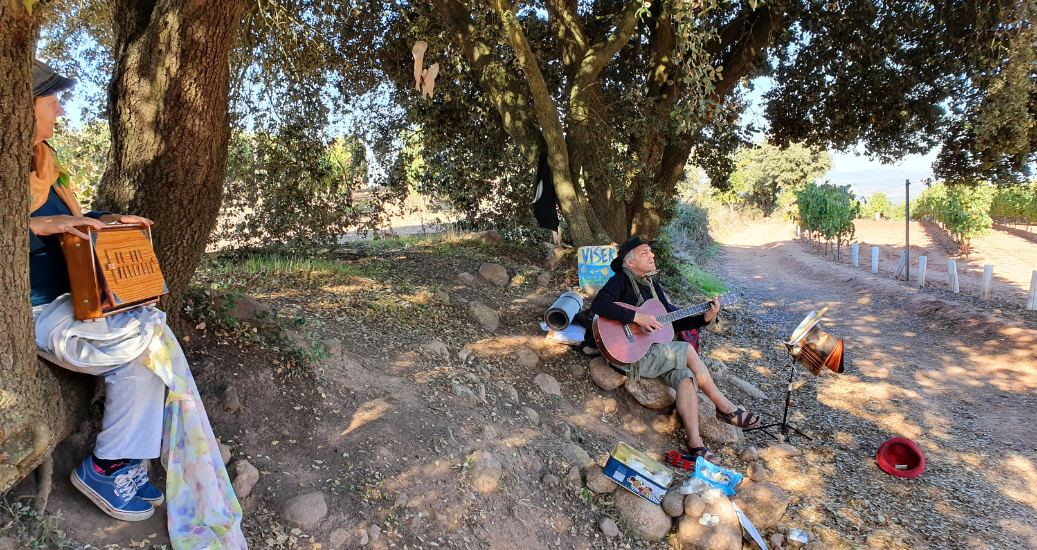 Man singing below tree on camino frances