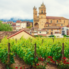 Logrono Landscape