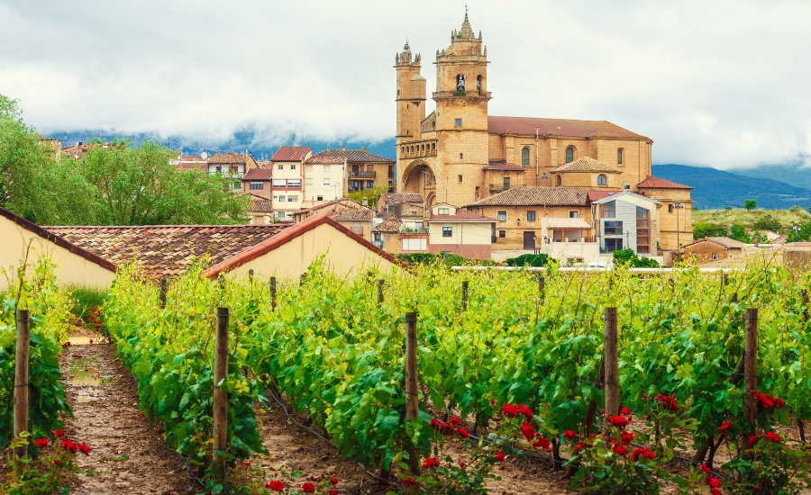 Logrono Landscape