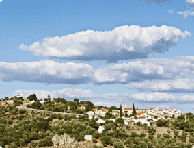 Aerial city view