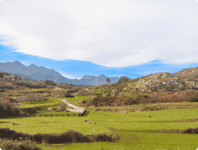 Nature on Camino del norte