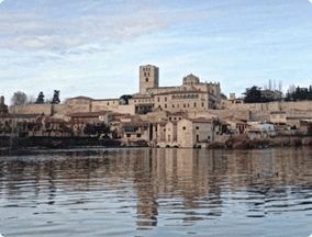 Zamora Cathedral