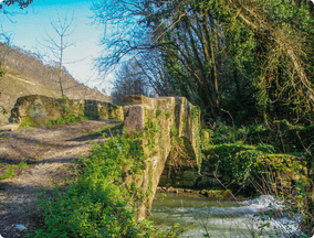 Nature Camino Primitivo