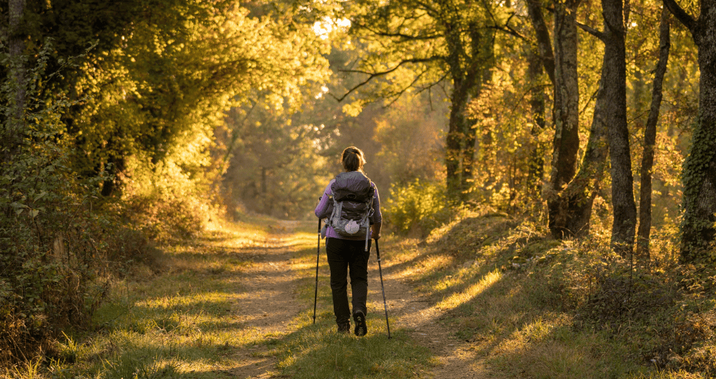 Pilgrim walking through forest