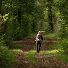 Pilgrim walking through forest