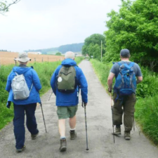 Pilgrims walking
