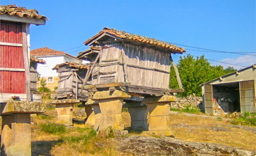 farm