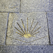 Shell on the way