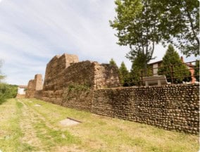Mansilla de las Mulas