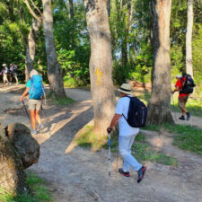 Pilgrims walking
