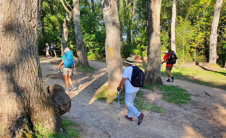 Pilgrims walking