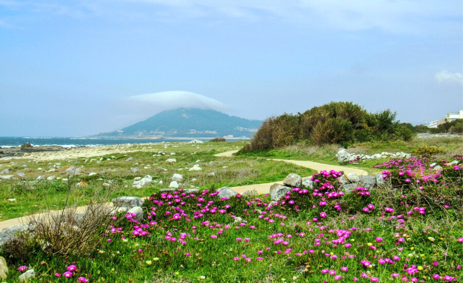 Landscape