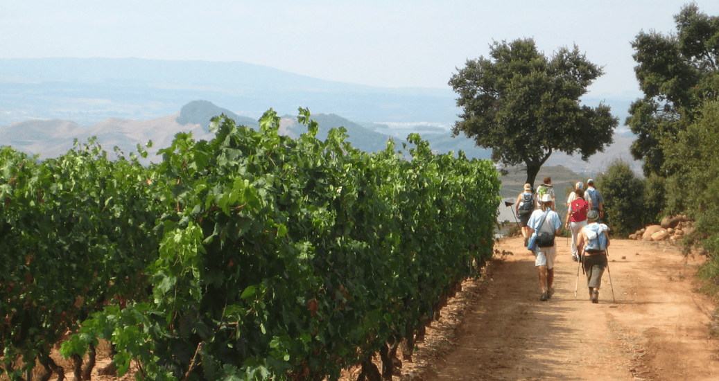 Pilgrims walking