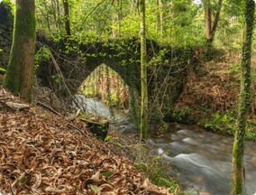 Albergaria-a-Velha