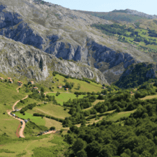 Nature Camino Primitivo
