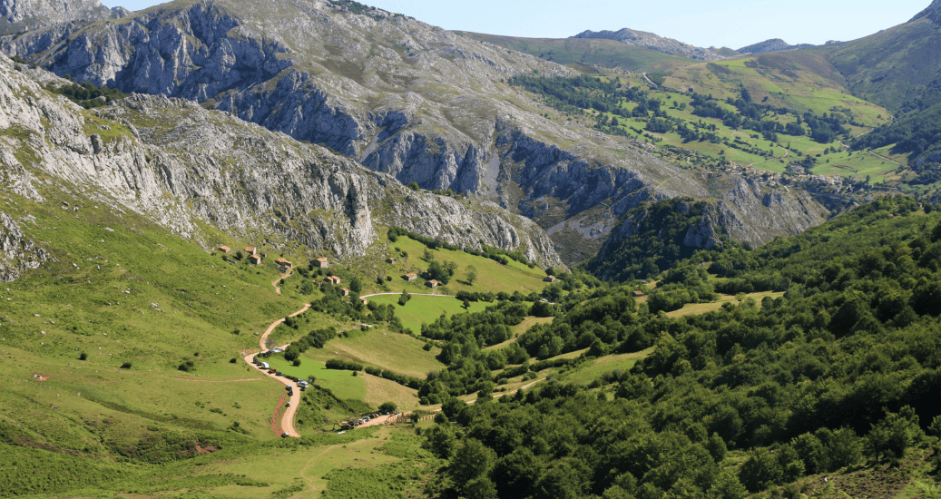 Nature Camino Primitivo