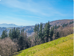 Cantabrian Mountains