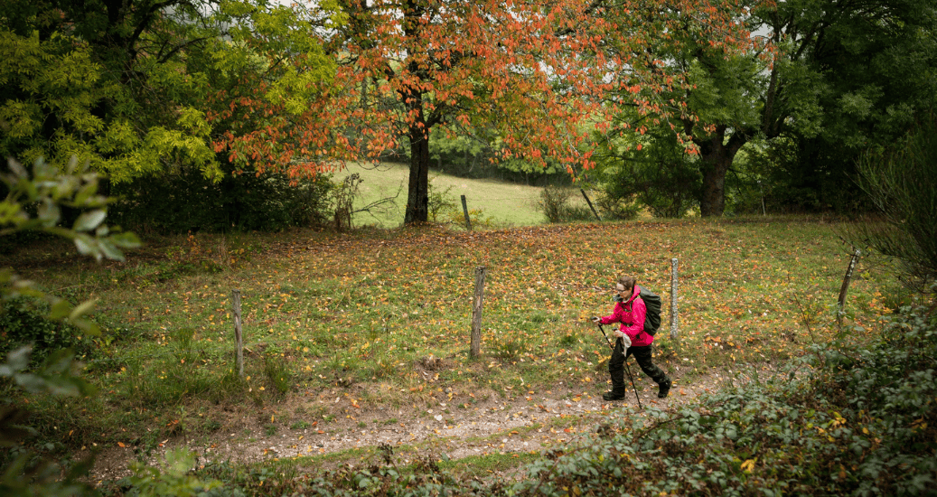 Pilgrim walking le puy
