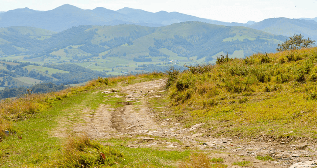 Green path on mountain le puy way