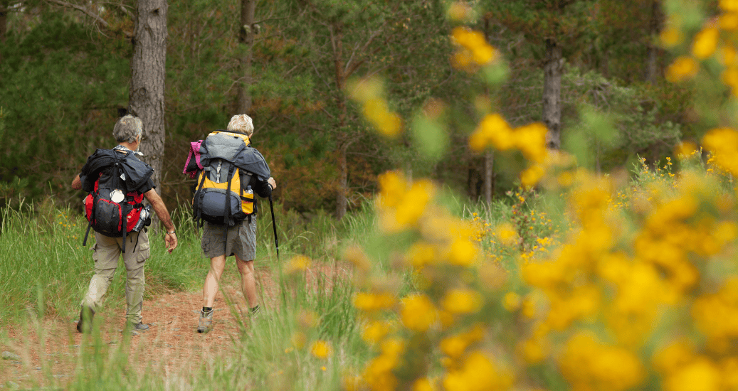 Pilgrims walking through forest with yellow flowers