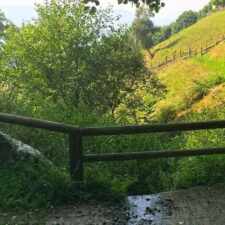 Camino primitivo pathway