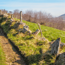 Nature Camino Primitivo