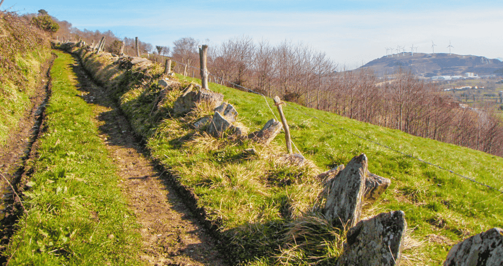 Nature Camino Primitivo
