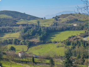 Cantabrian Mountains