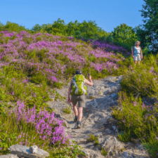 Pilgrims walking on mountain