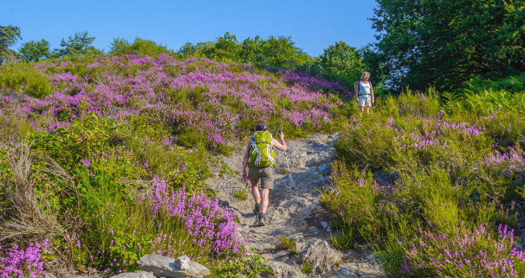 Pilgrims walking on mountain