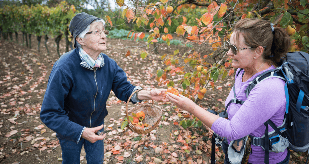 Helping pilgrims with fruits along Le puy