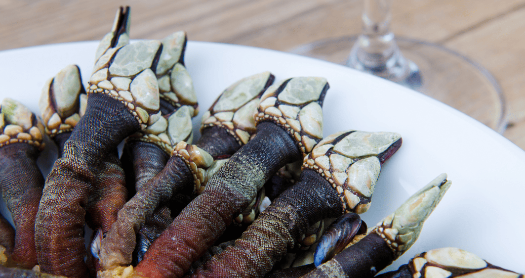 Food and tapas Percebes
