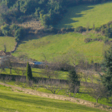 Nature Camino Primitivo