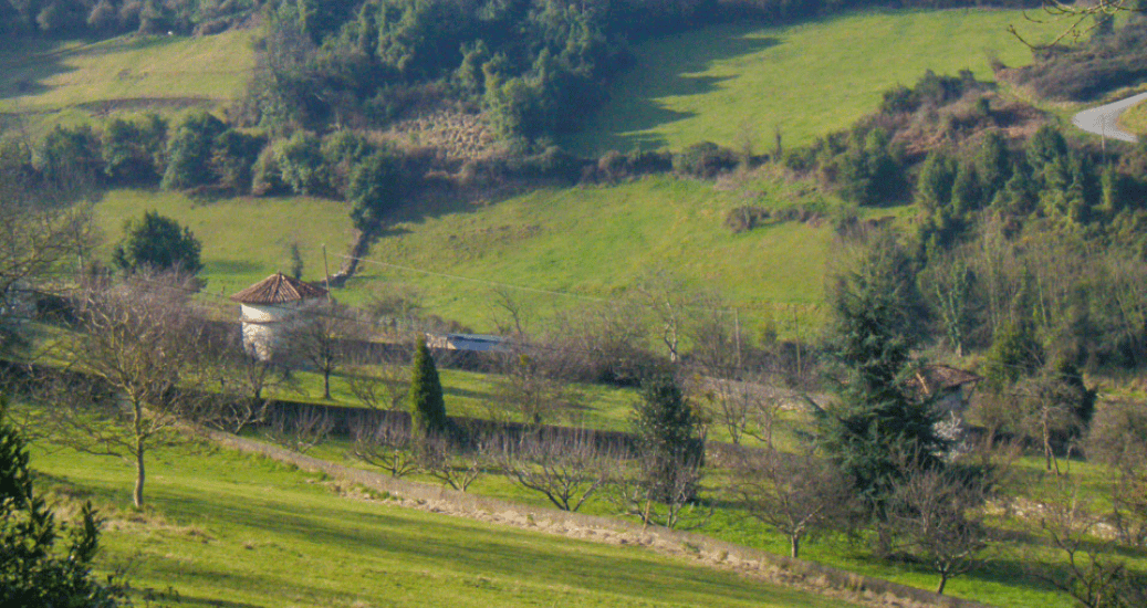 Nature Camino Primitivo