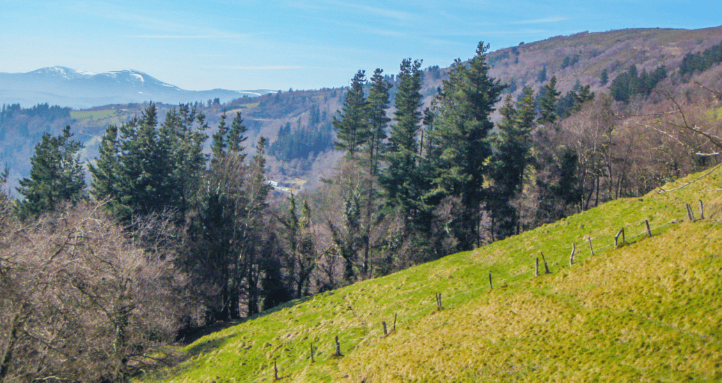 Camino Primitivo