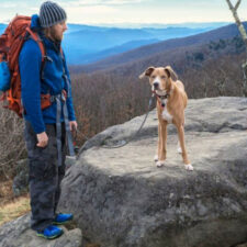 Man with dog in winter