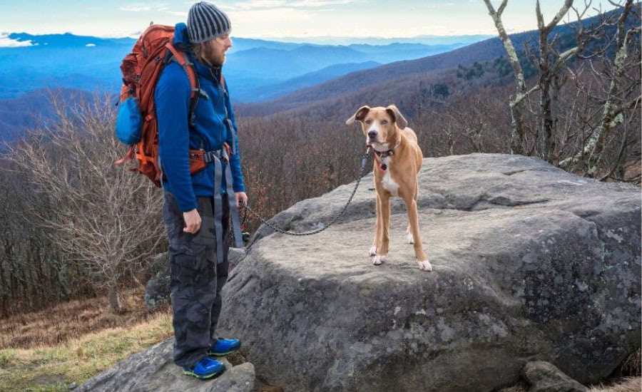 Man with dog in winter