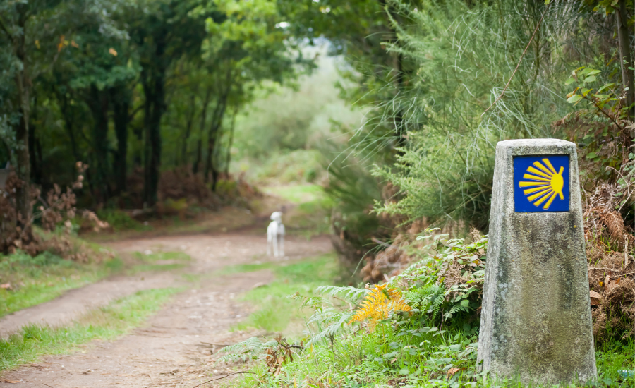 Path