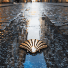 Camino sign on road