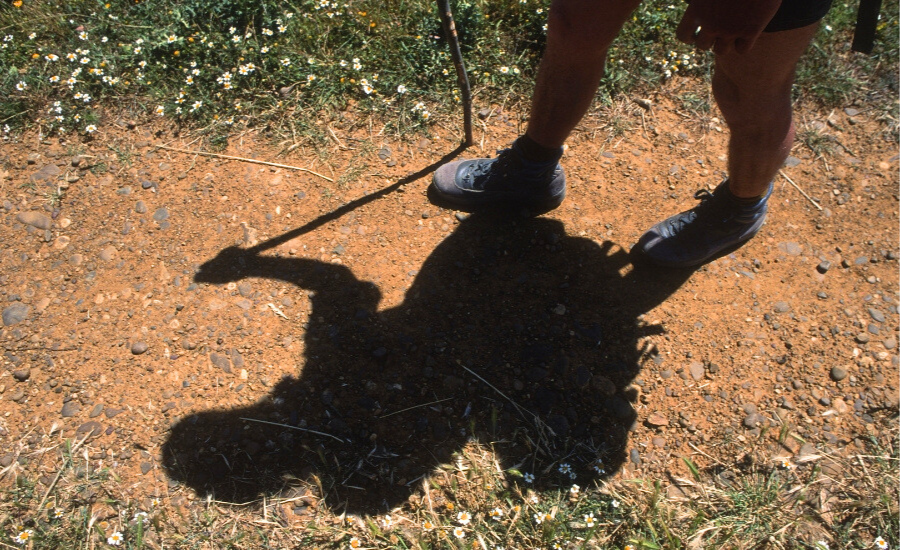 Pilgrim shadow